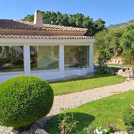 B&B La Chintina Sant'Antonio di Gallura Eksteriør billede