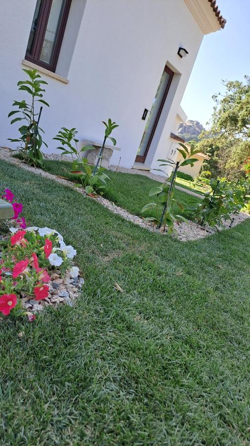 B&B La Chintina Sant'Antonio di Gallura Eksteriør billede