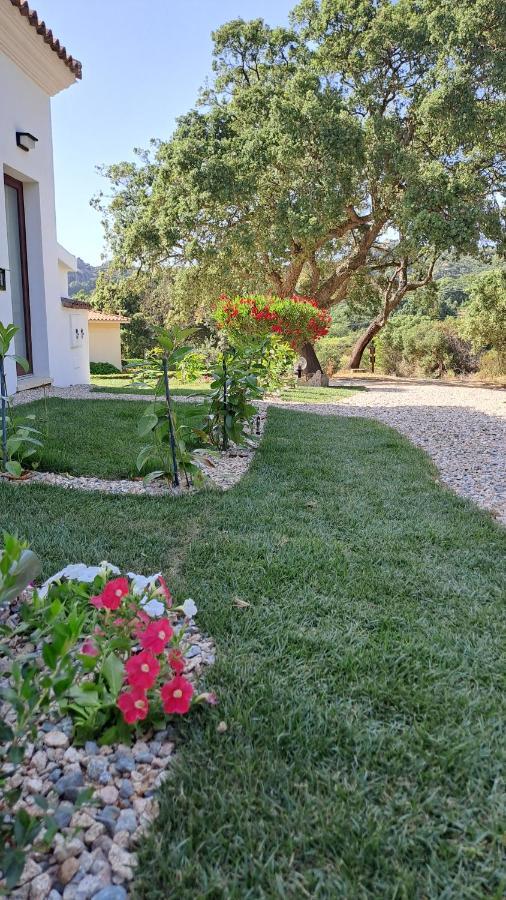 B&B La Chintina Sant'Antonio di Gallura Eksteriør billede