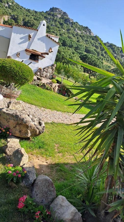 B&B La Chintina Sant'Antonio di Gallura Eksteriør billede