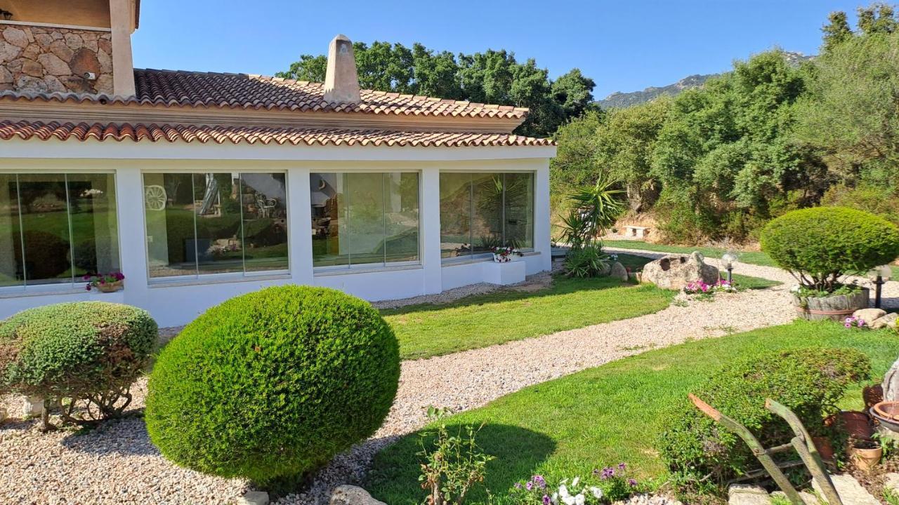 B&B La Chintina Sant'Antonio di Gallura Eksteriør billede